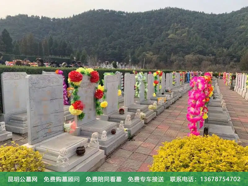 有山有水的墓地风水好吗