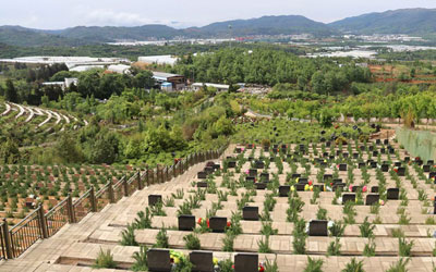 为什么公墓陵园不建议选头一排的,昆明青龙园公墓位置怎么选