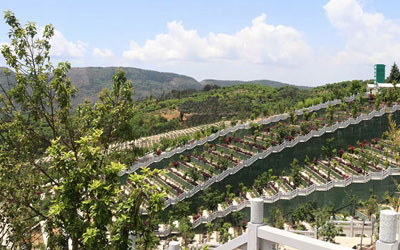 昆明青龙园公墓朝向如何选择,陵园墓地的朝向有什么讲究吗