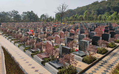 购墓流程顺序和步骤