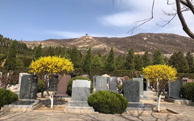 什么样的公墓陵园风水好