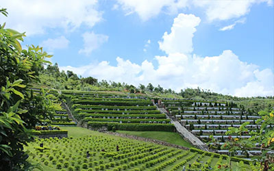 昆明市合法的公墓有几个,昆明合法墓地介绍