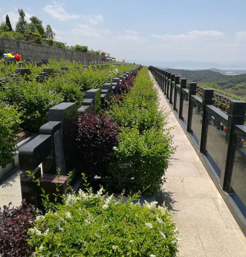 昆明墓地价格走势，昆明环境比较好的陵园是哪几家g