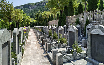 公墓信息网服务