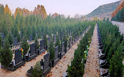 购墓应该注意什么