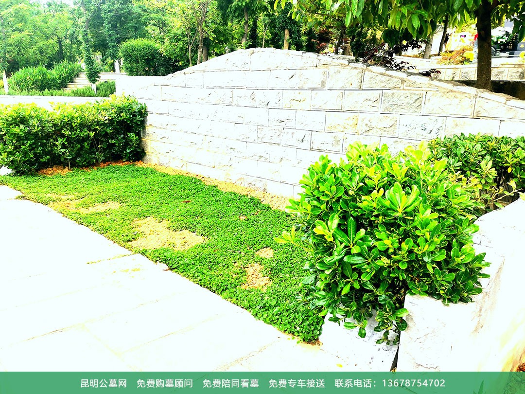 昆明青龙园公墓环境展示