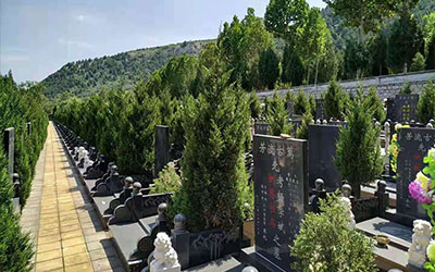 如何选择同一墓区的墓穴,哪个位置好