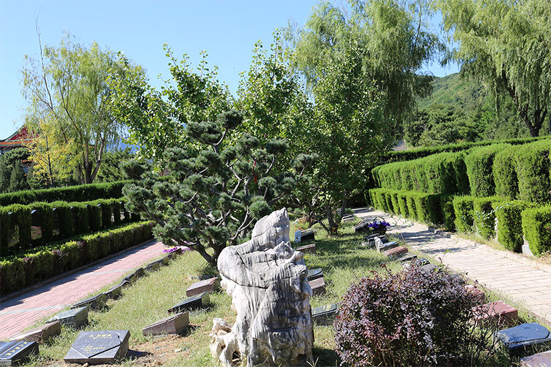 公墓信息网:购墓讲究那么多,总结五点供参考