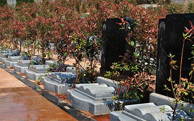 公墓信息网教你公墓选号的窍门