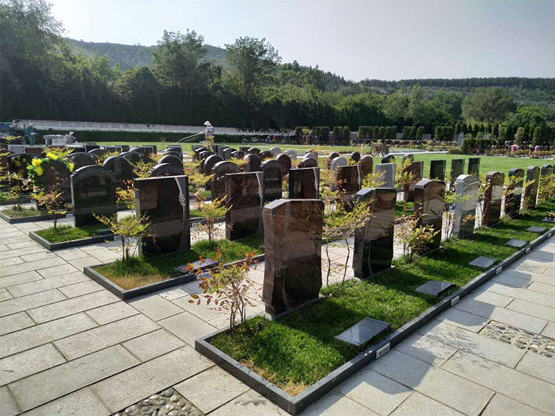 公墓信息网:择墓之朝向篇