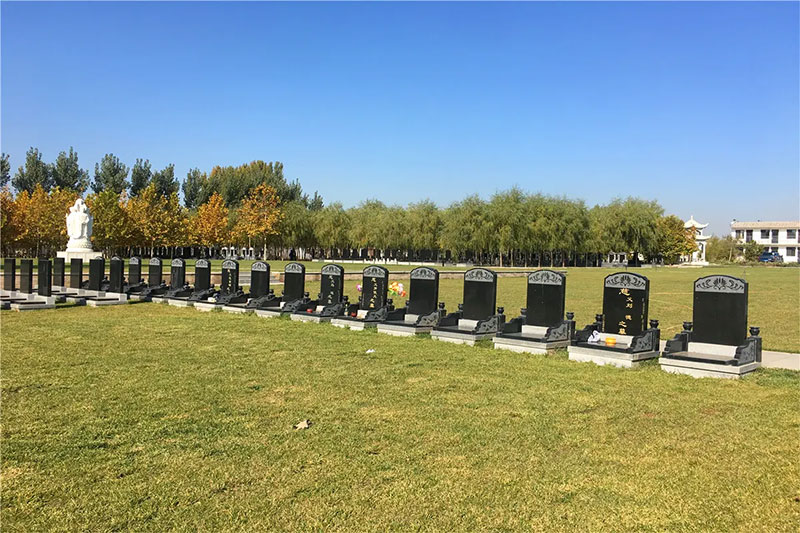 墓地不宜选在哪种地方