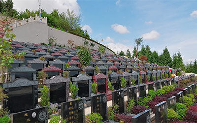 坟墓风水选址有什么依据