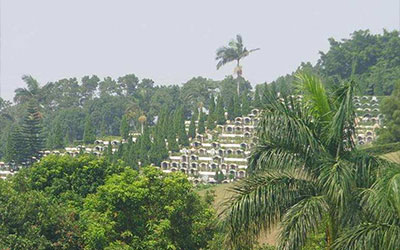 如何从墓地内外环境判断好坏与否