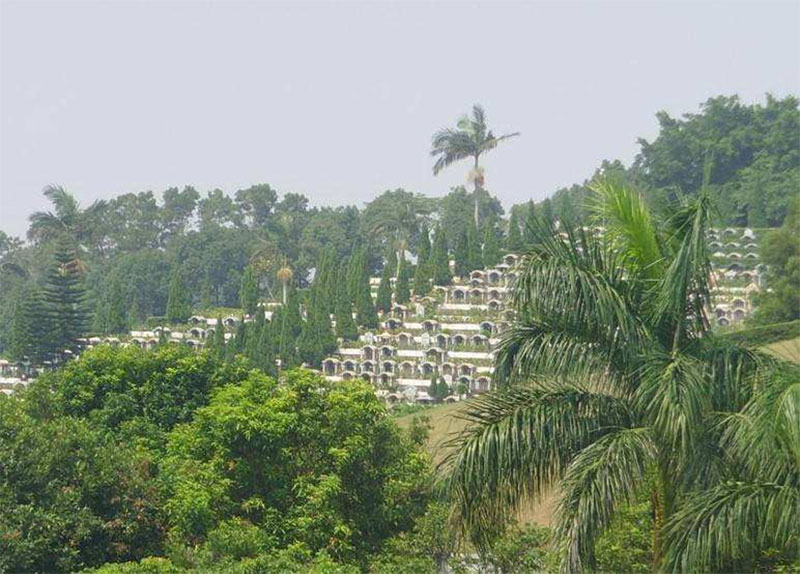 如何从墓地内外环境判断好坏与否