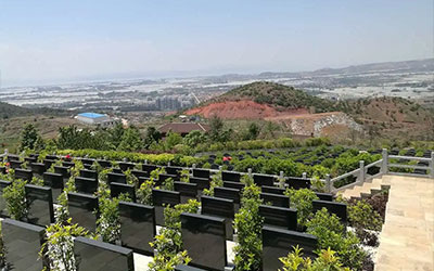 教你怎么看墓地的风水