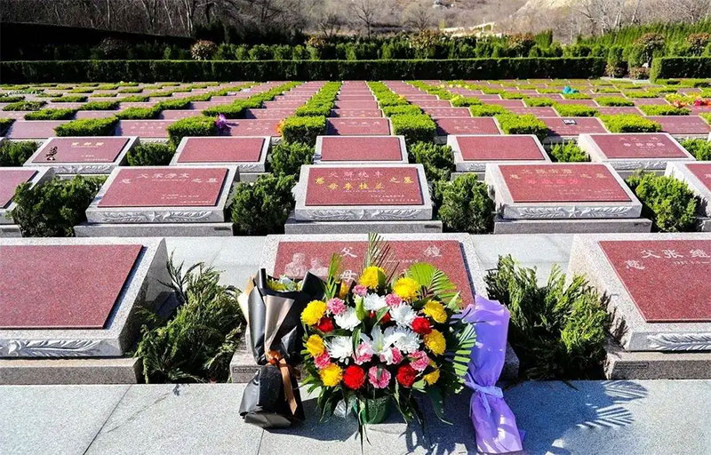 墓地不宜离墙根太近