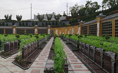 坟地风水怎么看，教你看出坟地好风水