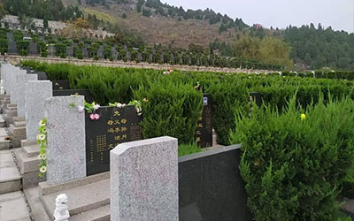 不懂风水怎么买墓地,买到了风水不好的墓地怎么办？