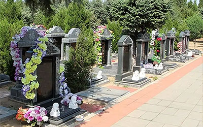 墓地风水方向有哪些,什么样的墓地风水比较好