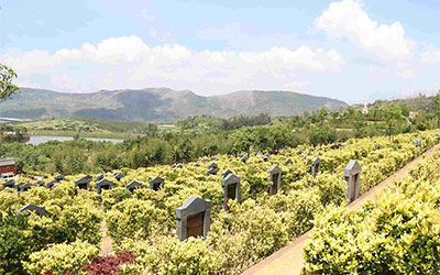 墓地的风水选择方法,风水墓地选择什么位置比较好