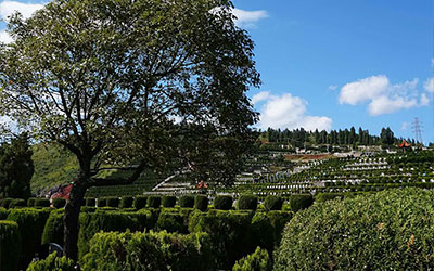 墓地风水讲解（怎样看坟墓风水好不好）