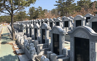 殡葬服务中墓地该怎样去选