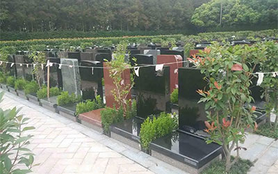 公墓怎么选？记住这几点！