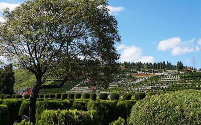 昆明哪家陵园比较好？