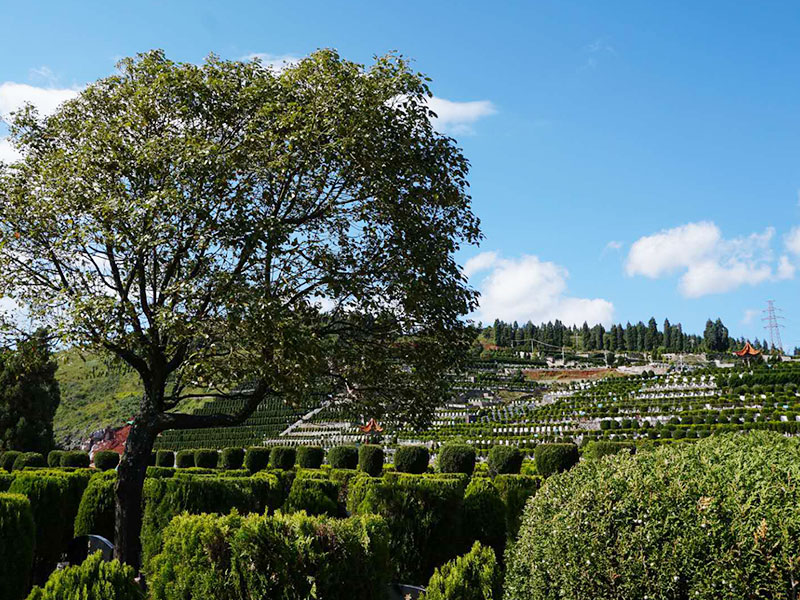 昆明哪家陵园比较好