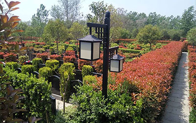 如何才能选择风水比较好的墓地