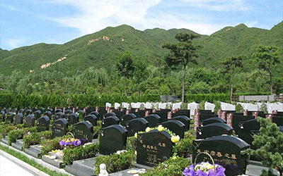 墓地购买中常见的陷阱和解决方法