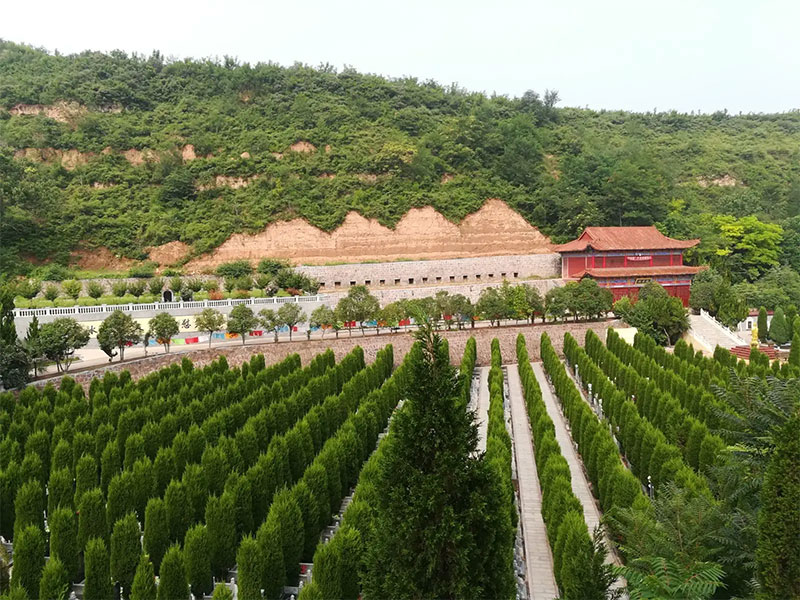 如何判断墓地管理是否得当