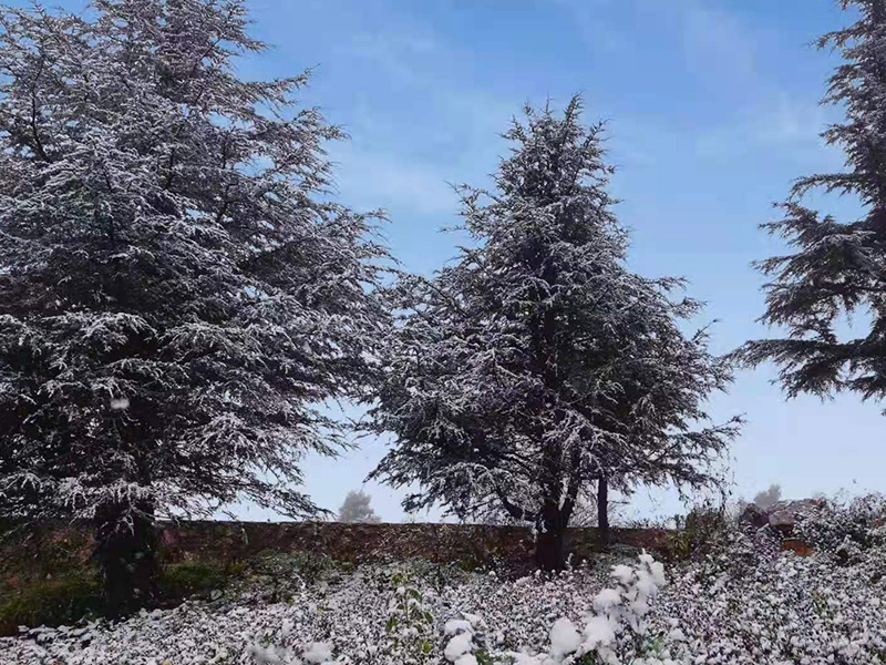 昆明玉案山公墓