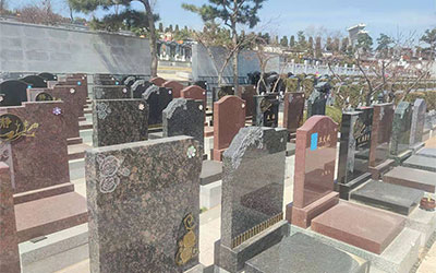 选墓地几排哪号好