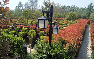 公墓为什么不选第一排？公墓位置怎么挑？