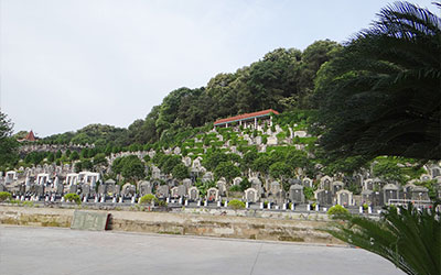 怎么样的墓地才是好风水