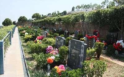 这3种地方选择墓地，后代多富贵好运