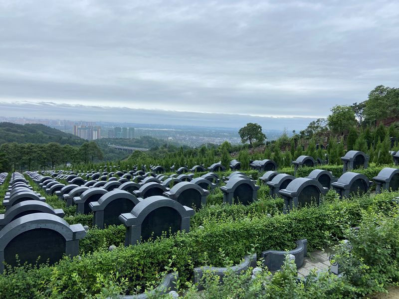 什么时候买墓地