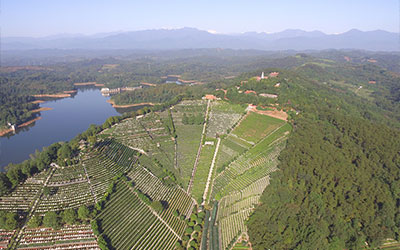 在昆明选择墓地，需要遵循哪些原则？昆明哪所墓园比较好？