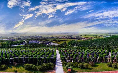 昆明宗教陵园都有哪几所？墓园的环境怎么样？
