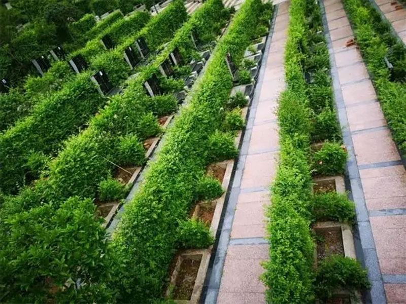 怎样选择墓地？会有哪些流程？