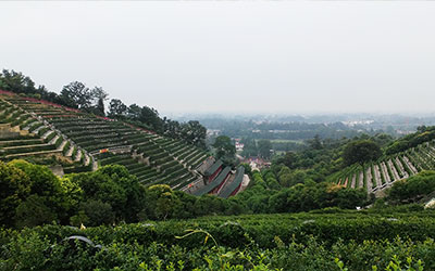 什么样的墓地算是好墓地