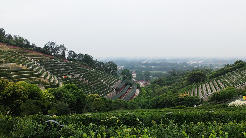 什么样的墓地算是好墓地