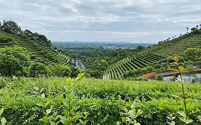 购买墓地需要什么证件