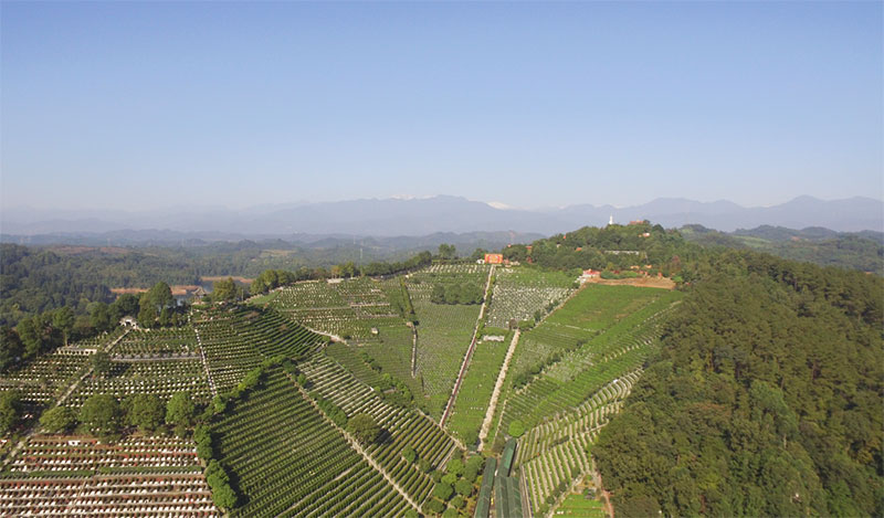 墓地风水，买墓地注意事项