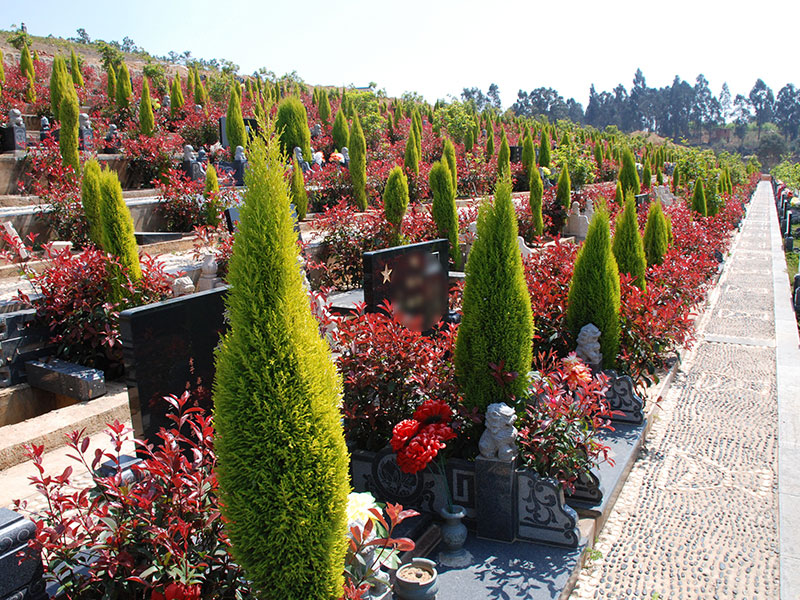 昆明性价比高的墓园有哪些？环境怎么样？