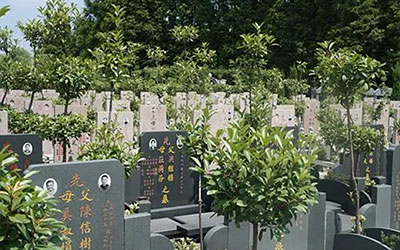 买墓必看！买墓地10不选，千万别踩坑