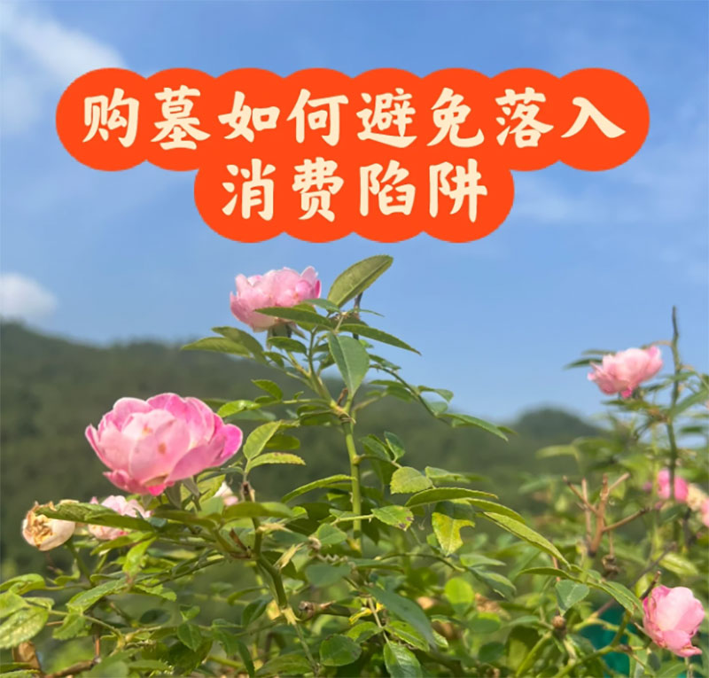 购墓如何避免掉入消费陷阱