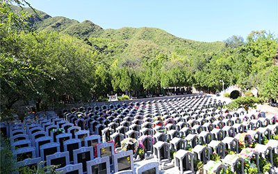 选择墓地风水的原则