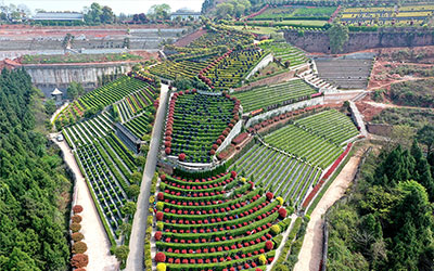 购墓需要花费的费用有哪些方面？